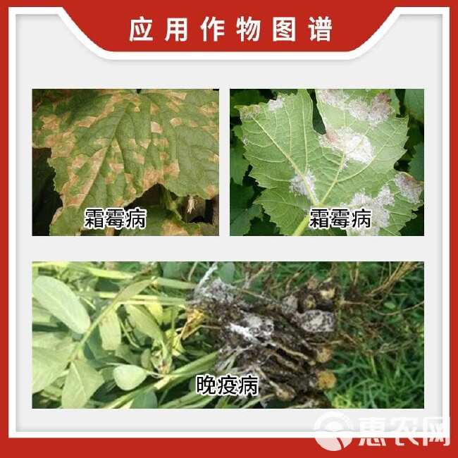 巴斯夫德劲47%唑嘧菌胺+烯酰吗啉葡萄黄瓜霜霉病晚疫病农药杀