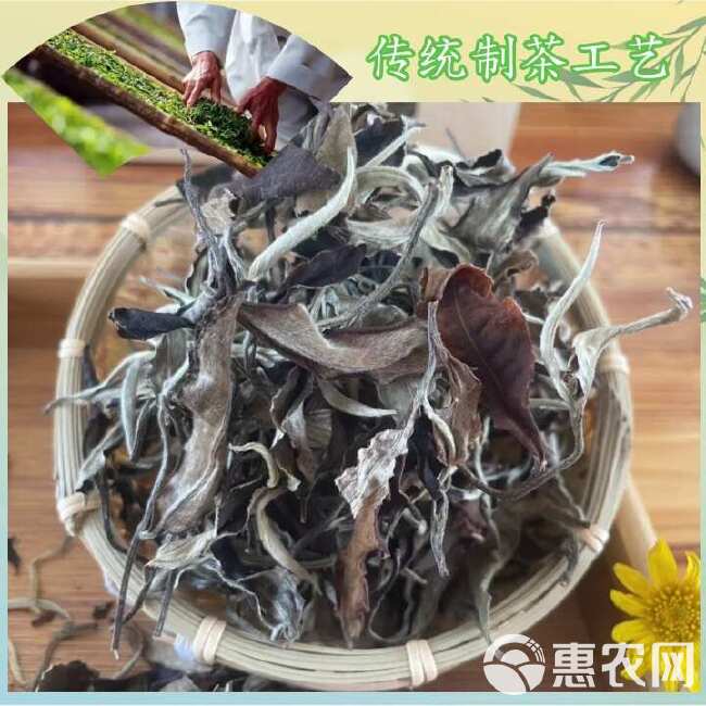 云南高海拔月光白茶荒野白茶白毫银针大白毫百年古树老树月光美人