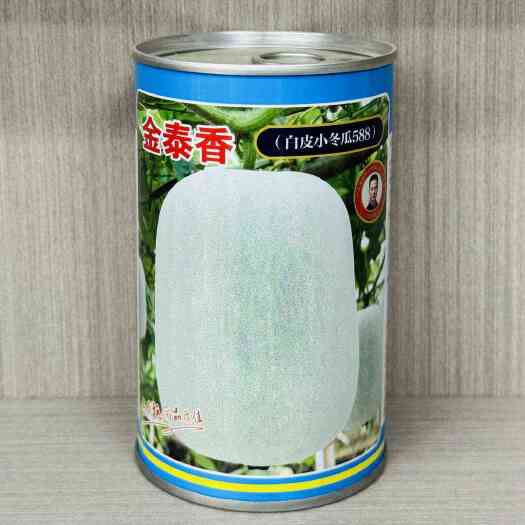 南京金泰香白皮小冬瓜种子早熟大田农用蔬菜种籽抗病口感清淡大全
