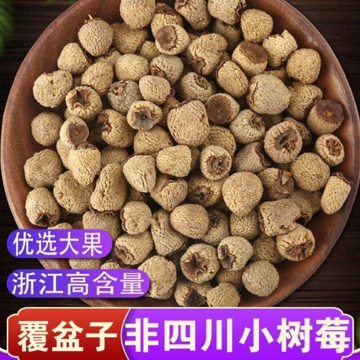 亳州覆盆子 批发优质覆盆子 产地货源规格多 量大价优