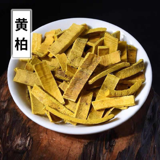 亳州黄柏丝中药材黄柏