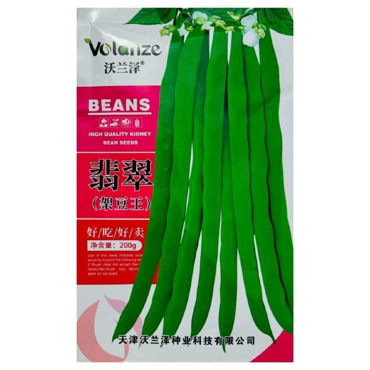 沭阳县翡翠架豆王种子扁芸豆加长无筋豆四季豆架豆菜豆种籽早熟产高春秋