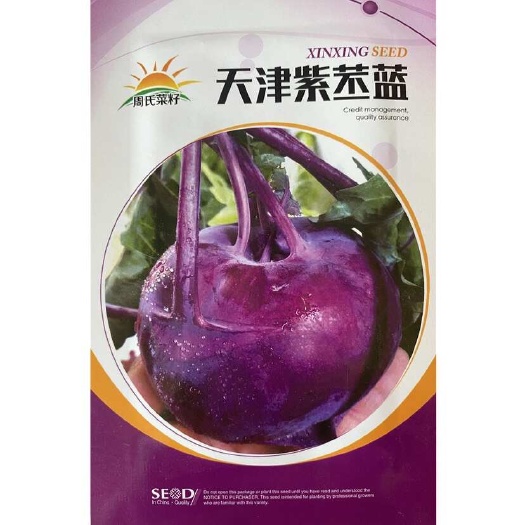 苤蓝种子蔬菜种子紫苤蓝种子大田种植蔬菜苤蓝水果种籽