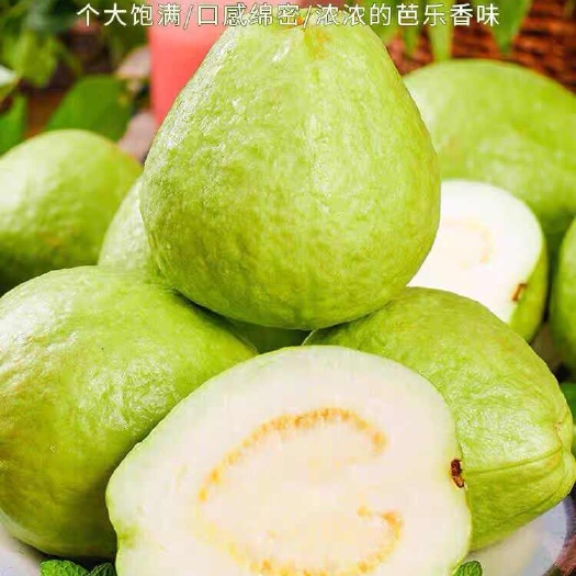 上林县番石榴红心白心