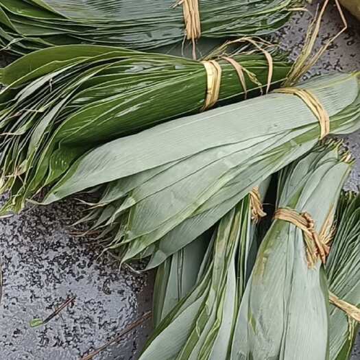 桂林粽子叶大量有货代收