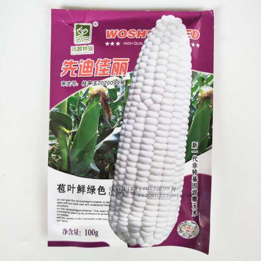 沭阳县先迪佳丽白甜糯玉米种子棒大苞叶绿抗病产量高精品种籽基地大户专