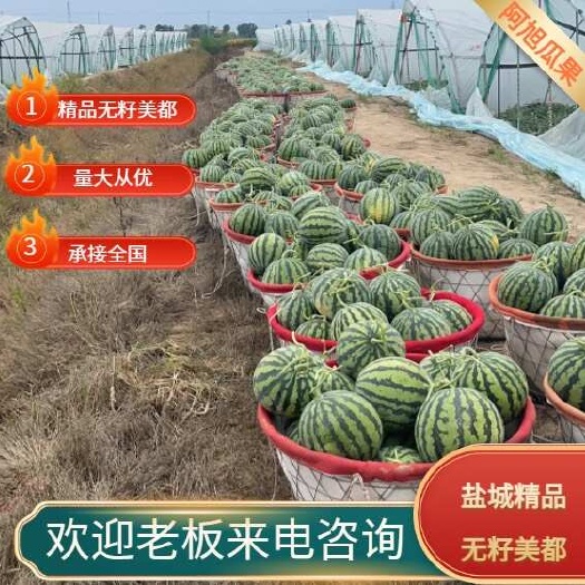 盐城江苏精品无籽麒麟大量现货.口感好.价格实惠