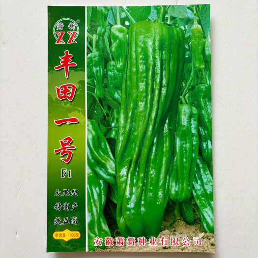 沭阳县辣椒种子萧新丰田一号泡椒种子灯笼形青红椒大果薄皮香脆中辣四