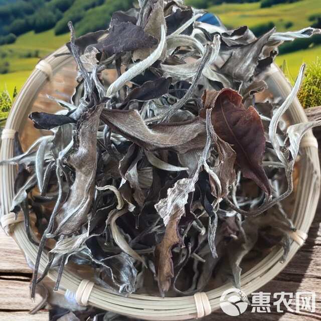 云南高海拔月光白茶荒野白茶白毫银针大白毫百年古树老树月光美人