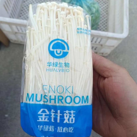 金针菇