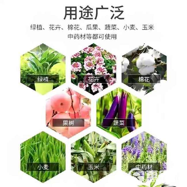 硝酸钙镁 农业级中量元素肥瓜果蔬菜花卉果树通用水溶肥