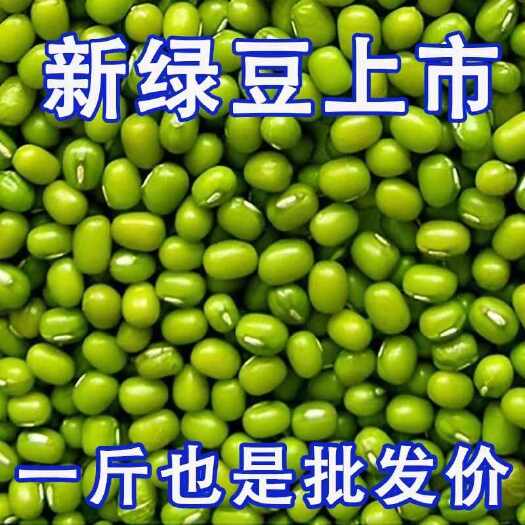 【绿豆批发新货】原产地直发 农家自产做绿豆芽绿豆汤绿豆糕