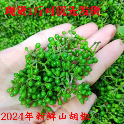 绿春县云南新鲜木姜子山胡椒2024新鲜深山采摘山苍子新鲜花椒当季鲜