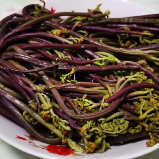 赫章县腌制的蕨菜