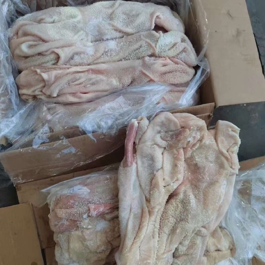 西宁羊净肚