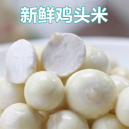 潮州新鲜手剥芡实鸡头米去皮剥皮冻芡实非干货鲜茨实新货湿欠实