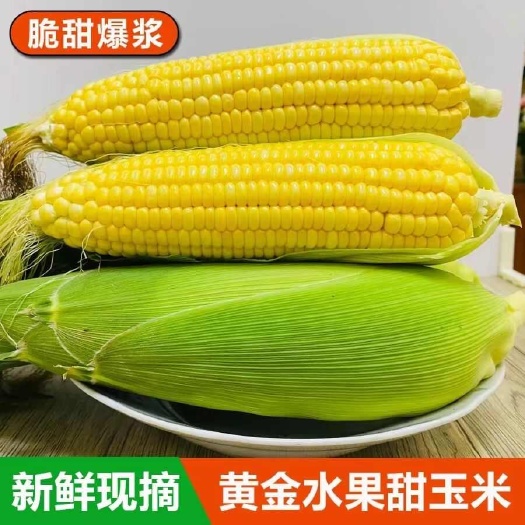广西/云南黄金水果玉米新鲜发货3/5/9斤一件代发包邮批发