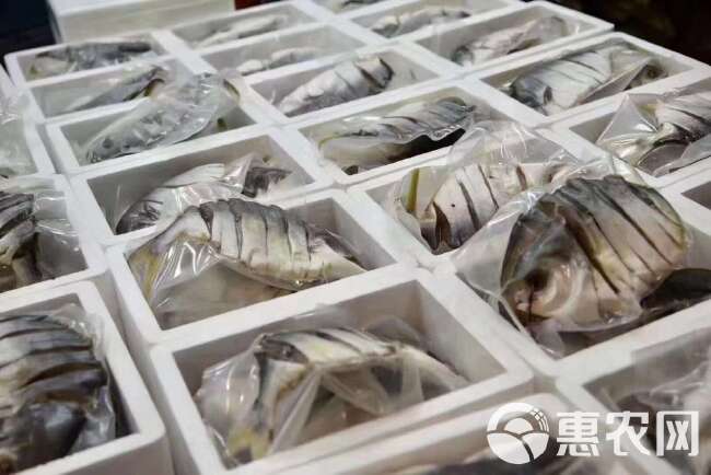 海边自晒金鲳鱼干7两到一斤不包邮