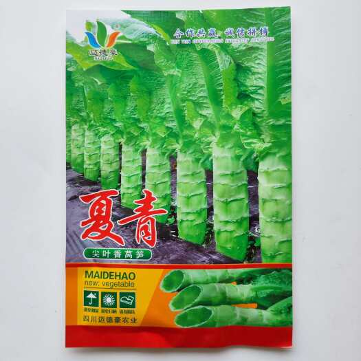 沭阳县迈德豪夏青莴苣种籽尖叶耐高温浅绿白皮青肉香莴笋种子夏季种植