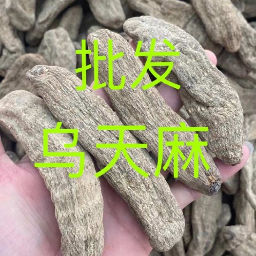 乌天麻 云南产地 乌天麻批发