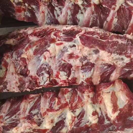 河间市牛脊骨 带肉牛骨 用于火锅店 骨头骨 日期新 免费加工锯断