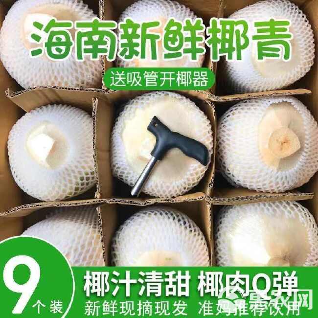 椰青一箱九个各平台一件代发，旺季大优惠！