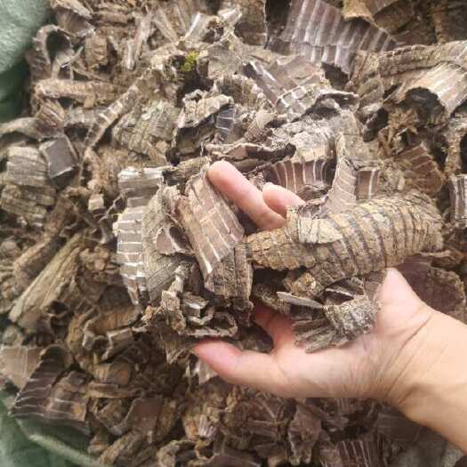 玉林批发杜仲皮