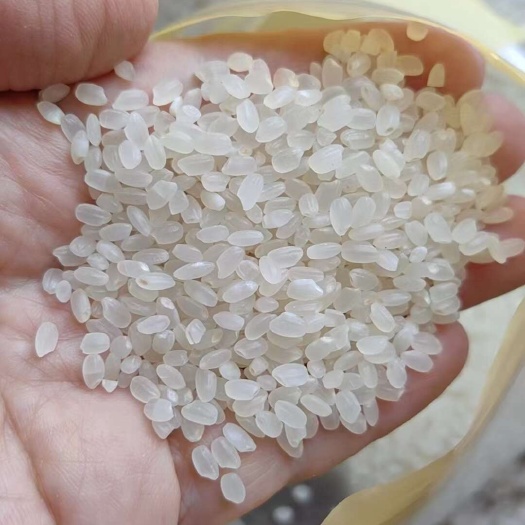 哈尔滨珍珠米