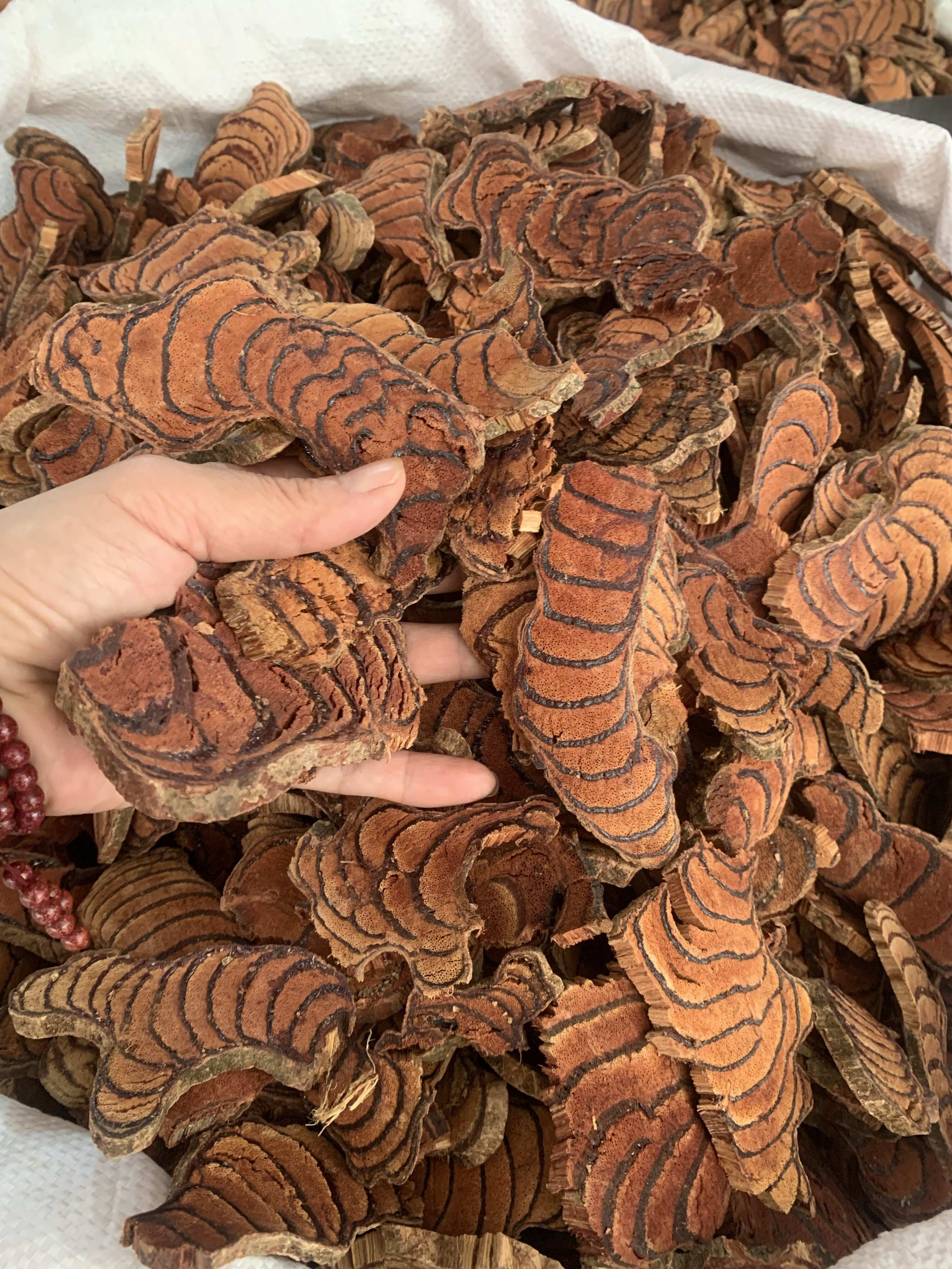 过全检鸡血藤  量大从优、可订装箱、可免费打粉