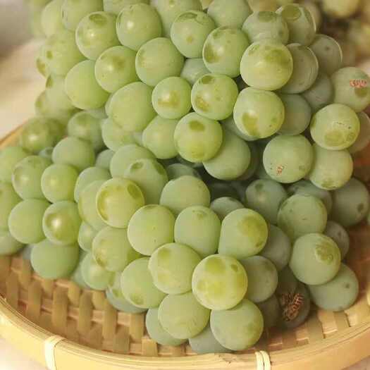  水晶葡萄
