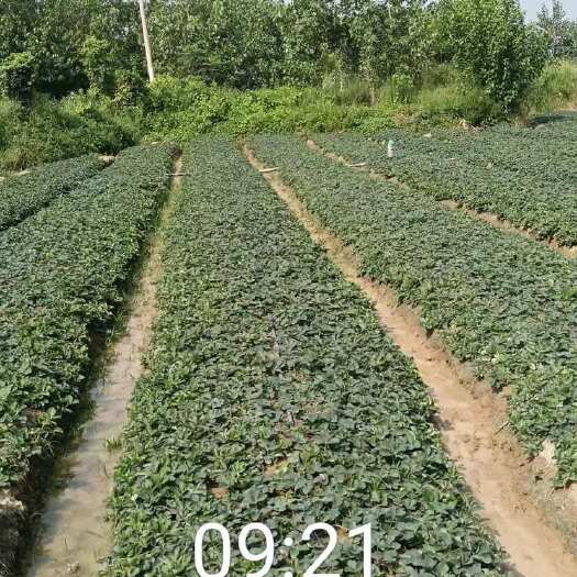 长丰县有意向的可以联系了，质量成就一切！！