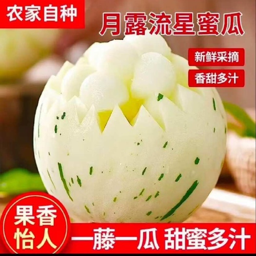 莘县流星梦露甜瓜