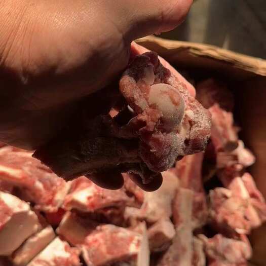 临沂羊骨