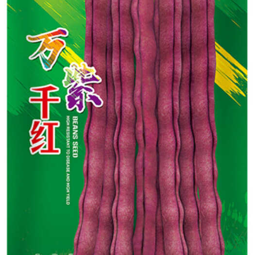 大连紫豆角