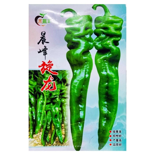 晨峰旋龙中果早熟螺丝椒种子耐热耐寒彭果快基地辣椒种子抗病产量