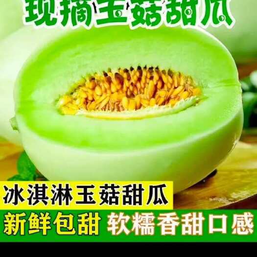 莘县玉菇甜瓜  玉姑甜瓜