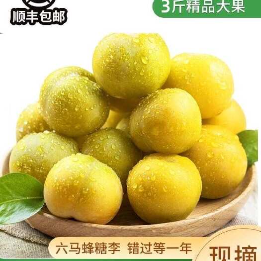 镇宁县原产地 原口感 现摘贵州正宗六马蜂糖李新鲜孕妇水果脱骨脆甜多