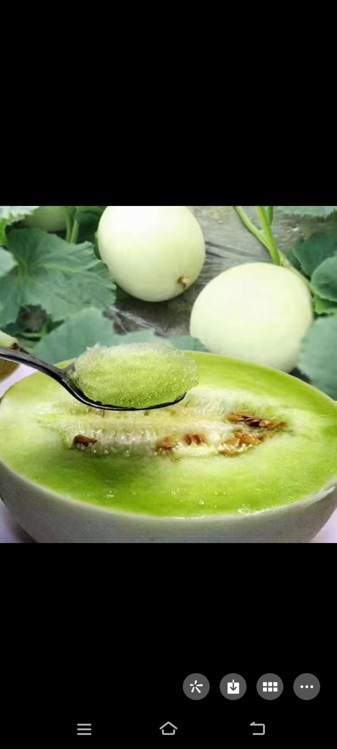 玉菇，小蜜，黄金瓜上市了