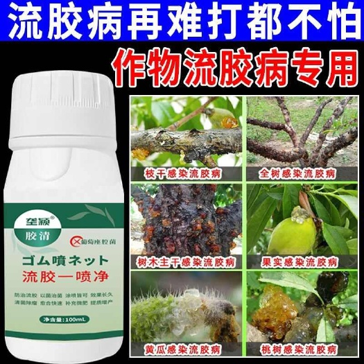 流胶穿孔一喷净桃树流胶病专用柑橘果树溃疡病腐烂病流胶穿孔净