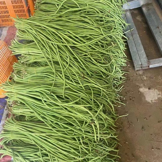 保山云南精品长缸品，可供电商，商超，档口，社区团购