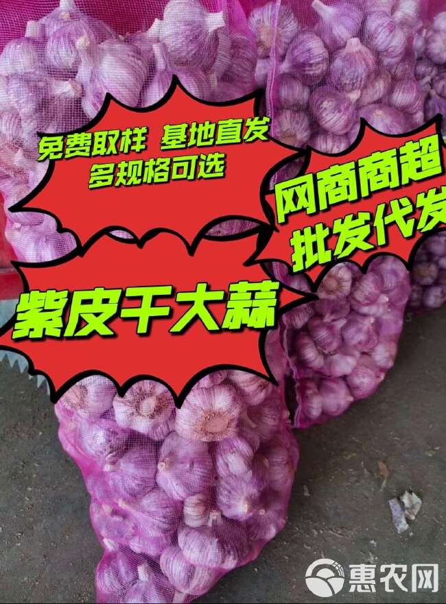 干大蒜批发2024新产紫皮大蒜头商超新蒜干蒜大蒜多规格整箱