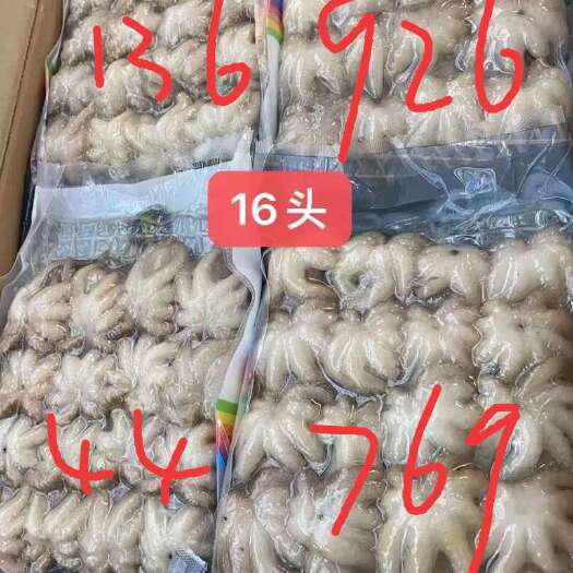广州章鱼  八爪鱼，小八爪，冷冻