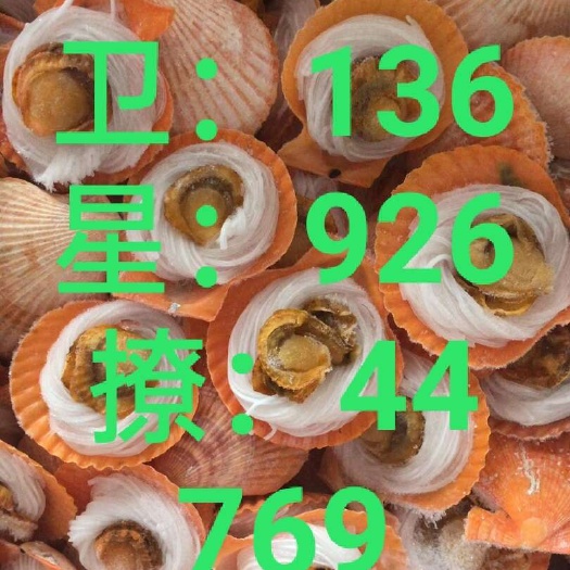 黄金贝  粉丝黄金扇贝，1件12斤200只