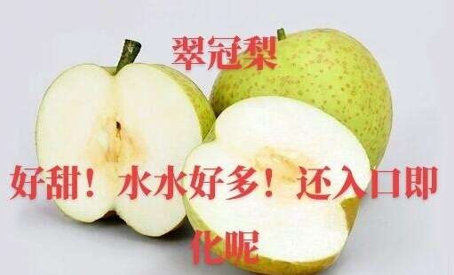 翠冠梨嫁接苗，极早熟梨品种，六月份成熟，梨子界天花板