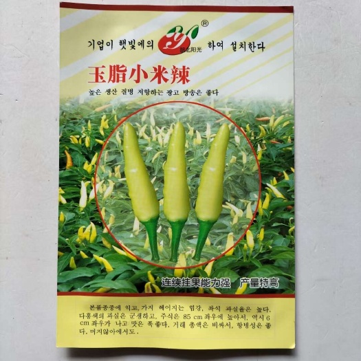 宿迁玉脂小米椒种子早熟小米辣椒种子黄色辣椒种子小米辣泡椒种子