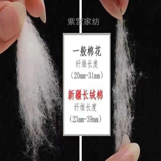博野县【大降价】棉花新疆长绒棉仿棉花棉花填充物婴儿专用新疆棉填充棉