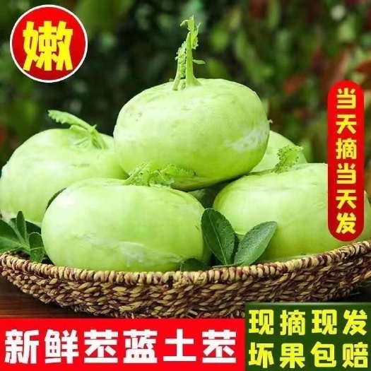 云南新鲜蔬菜苤蓝农家自种现摘现发