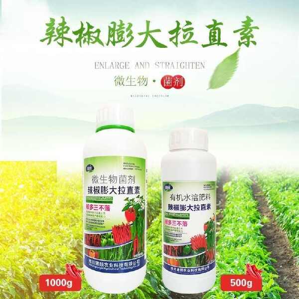 辣椒膨大拉长拉直素辣椒专用肥青椒彩椒小米椒叶面肥辣椒三不落