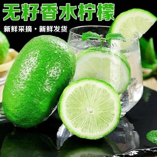 勐海县香水柠檬   子弹头一级果无籽香水柠檬