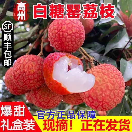 【顺丰冷链包邮】爽甜多汁广东高州白糖罂荔枝新鲜水果现摘现发